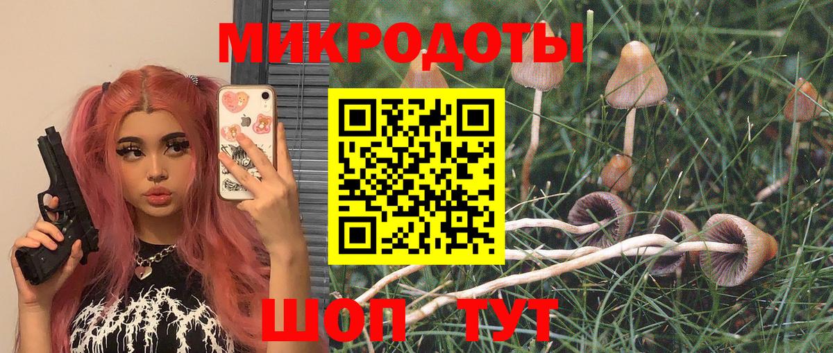 Клинцы  Галлюциногенные грибы Psilocybe  Вход с VPN 