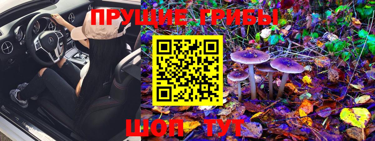 A-PVP СК   Вход с VPN  Клинцы  Купить наркотик  Cocaine  ГАШИШ  Каннабис  Меф кристаллы  Гашиш 